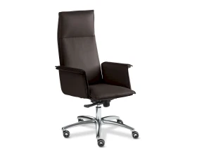 Кресло Epsilon Luxe A chrome images