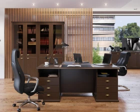 Кабинет руководителя Раут / Raut images