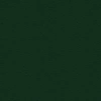 P2 EUROLINE 1132 (зеленый)